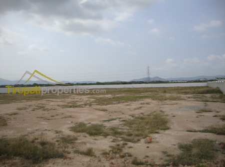 1) Plots for Sale in Tirupati - Chennai Highway.JPG